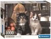 Clementoni - Puzzle - 1000 pièces - Mignons chatons - High Quality Collection