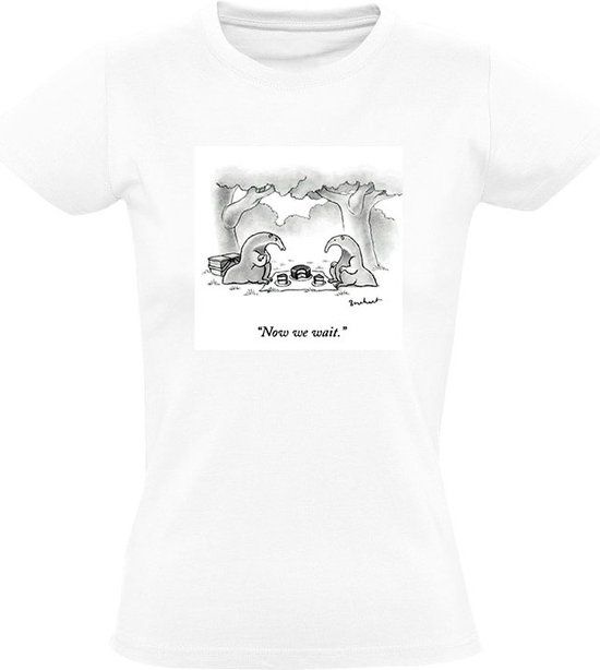 Sol's Miereneters Dames T-shirt - Wit - XL
