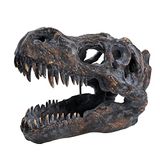 HEINBOW T-rex schedel aan de muur gemonteerde dinosauruskop trofee faux taxidermie muurbeeld fossiele beeldje muurdecoratie Tyrannosaurus Rex schedel sculptuur 40 cm lang