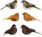 Decoris Vogel foam l3.5b9h4 cm a4 2st kerst