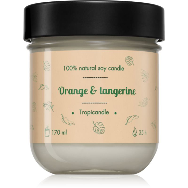 Tropicandle Orange & Tangerine