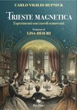 Trieste Magnetic Table Experiments