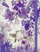 Peter Pauper Mid Size notitieboek - Hummingbird - met elastieksluiting - 16x21 cm