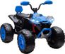 AIYAPLAY Elektrische kinderauto Kunststof, Metaal 109L x 68,5B x 76H cm Blauw