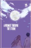A Libri GmbH Book 1-A Promise Through the Storm Paperback