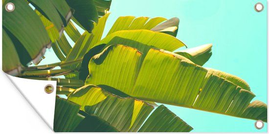 GreatGardenPosters Tuinschilderij - Bananenblad - Tropical - 60x30 cm - Buitenposter