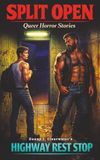SPLIT OPEN Queer Horror Stories #2 Highway Rest Stop