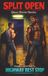 SPLIT OPEN Queer Horror Stories #2 Highway Rest Stop