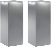 vidaXL Plantenstandaard 2 stuks zilver 40 x 40 x 100 cm Roestvrij staal
