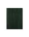 Letts of London Lecassa A6+ week om dagboek 2025 te bekijken - British Racing Green