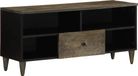 Maison Exclusive - meuble TV, 100x33x46 cm, manguier massif