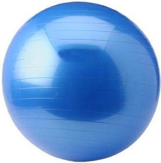 Focus Fitness Gym Ball - 65CM