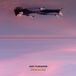 Rides Jack Flanagan - Rides The Sky (CD)