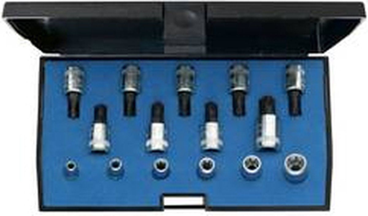 Gedore 1815628 Buiten-zesrond (TX), Binnen-zesrond (TX) Dopsleutel-bitinzetset 15-delig 1/4 (6.3 mm)