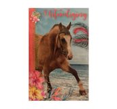 Interstat Imagebooks (Interstat) UITNODIGINGEN RACHAEL HALE PK 908 PAARDEN /los - FSC MIX CREDIT