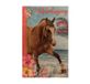 Interstat Imagebooks (Interstat) UITNODIGINGEN RACHAEL HALE PK 908 PAARDEN /los - FSC MIX CREDIT