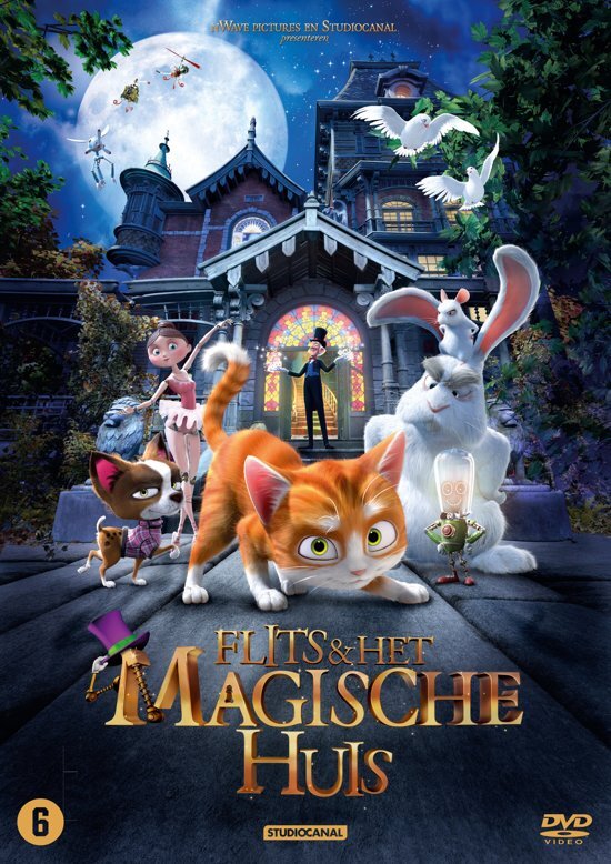 Animation Flits en het magische huis dvd