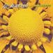 Coast2Coast Ad Vanderveen - Late Bloomer (CD)