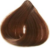Subtil Color Crème Colorante 8.31 - 60 ml
