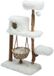 Gebr de boon Boony Klimboom populus 154cm polar white