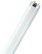 Osram L58W/865 fluorescente lamp 58 W G13