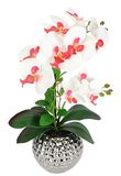 Kunstbloem Bol Kunstbloem vlinderorchidee 40cm met bladeren in plantenbak, roze/wit