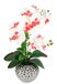 Kunstbloem Bol Kunstbloem vlinderorchidee 40cm met bladeren in plantenbak, roze/wit