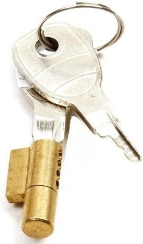 PRO Sleutelslot Voor Dissel / Aanhangwagen Koppeling Met 2 Sleutels