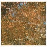 Until The Baird Sisters - Until You Find Your Green (LP) (Reissue)