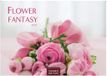 Flower Casares Fine Art Edition Flower Fantasy Kalender 2027 - Wandkalender | Fotokalender Naturkalender | Blumenkalender | 24x35cm