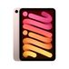 Apple iPad mini / WiFi / 256 Go / Or rose