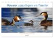 Oiseaux CALVENDO Oiseaux aquatiques en famille (Calendrier mural 2027 DIN A4 vertical), CALVENDO calendrier mensuel