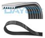 Dayco 6PK1035S V-riem