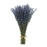 CoolCrafts Gedroogde Lavendel Bosje Lavendel Droogbloemen Gedroogde Bloemen Decoratie voor Binnenhuis, Bruiloft Boeketten