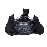 Nemesis Now Familiar Trio Theelichthouder, Zwart, 10cm