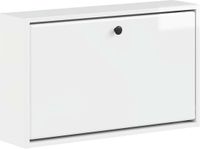 vidaXL Wandgemonteerde Schoenenkast BREDA 71 x 17 x 43 cm Bewerkt hout