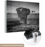 MuchoWow® Glass Painting 40x30 cm - Acrylic Glass Painting - Elephant - Plain - Animals - Black - White - Photo on Glass - Paintings