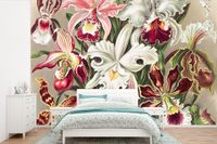 Papier peint Fleurs - Ernst Haeckel - Orchidée - 450x300 cm - Papier peint intissé