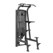 Toorx Professionnel Tirage assisté / Dips PLX-8400