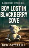 Boy Blackberry Cove Mysteries- Boy Lost in Blackberry Cove Hardcover