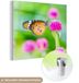 MuchoWow® Peinture sur verre 50x50 cm - Peinture acrylique - Papillon - Rose - Carré