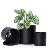 4 D'vine Dev Set van 3 kunststof bloempotten (10,2 cm, 12,7 cm, 15,2 cm) met afvoergat en uniforme schotels, zwart, maat S, 74-V-B-1