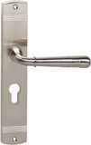 Intersteel Poignée de porte Helena sur rosace trou de serrure 55 mm nickel mat