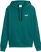 Puma Sweater Heren ESS 2 Color Small No.1 Logo Hoodie Groen - Maat M