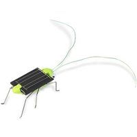Zonne-energie insecten wit