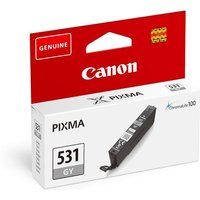 Canon Inktcartridge Pixma Chroma Life 100 TS8750 S/BL Grijs
