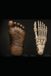 JOURNAL OF SASQUATCH ANTHROPOLOGY: # 1