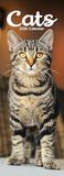 Cats Slim Calendar 2026 Cute Slimline Calendar - 12 Month
