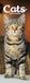 Cats Slim Calendar 2026 Cute Slimline Calendar - 12 Month