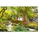 Forêt Papier Peint Panoramique - 130 cm x 87 cm